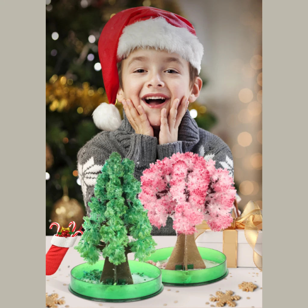 Grow Your Own Crystal Christmas Trees - Crystal Growing Kit for Kids