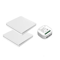 2x1gang 1Receiver